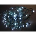 Perfect Holiday 100 LED Green Cable String Light White SG100W